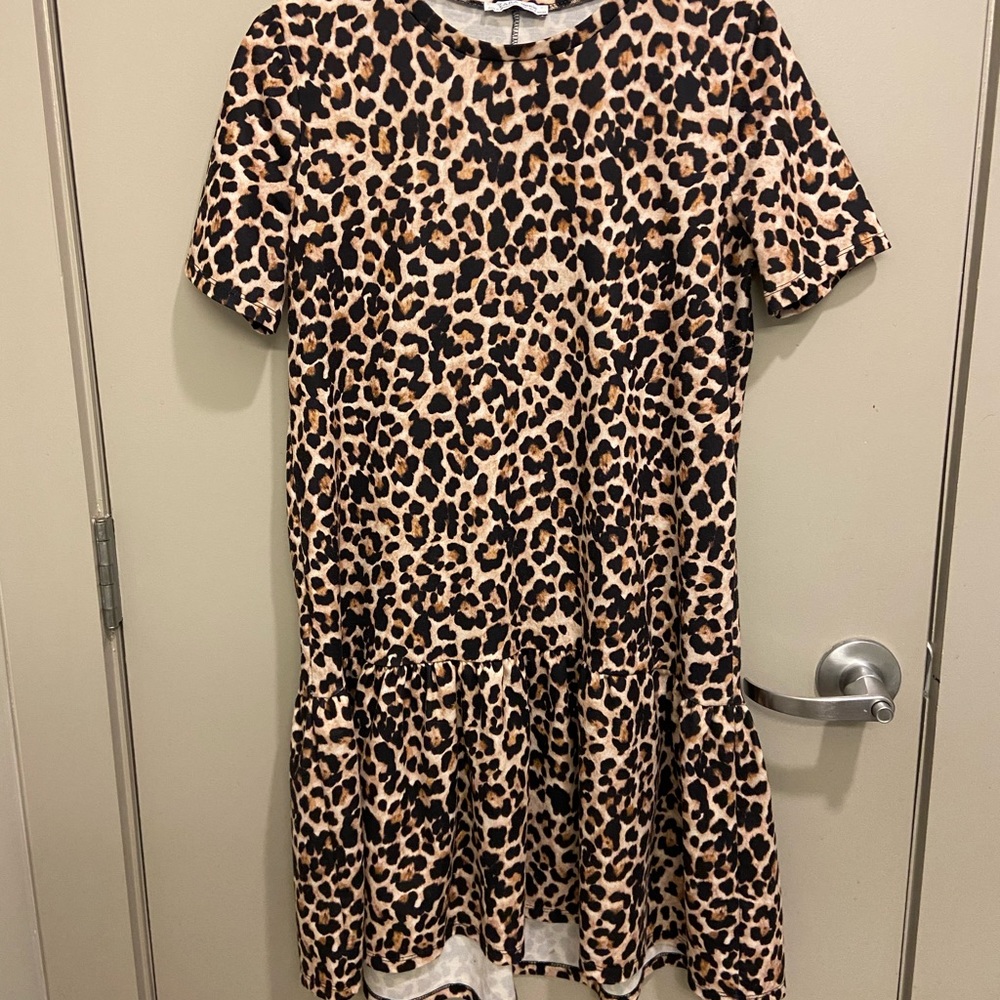 Zara Drop Waist Leopard Print Dress